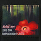 Save the Endangered Plants-Changeable Printed Plants Patches, 7pcs, Only Patches, Black